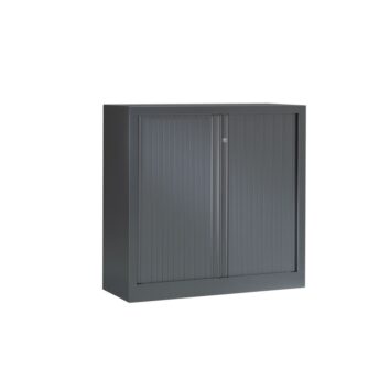 Armoire Série PLUS structure et anthracite érable h100 l100