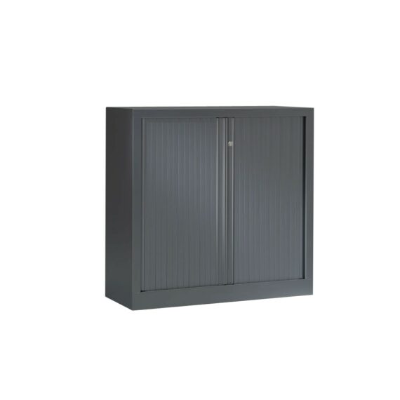 Armoire Série PLUS structure et anthracite érable h100 l100