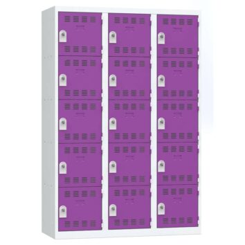 Vestiaire multicases prune 15 cases, dimensions L120 cm, casiers sécurisés avec porte-étiquettes.