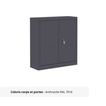 Armoire Portes Battantes Premium - H100 L090 anthracite