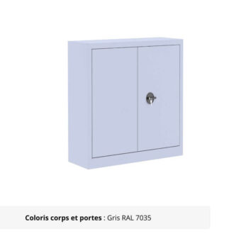 Armoire Portes Battantes Premium - H100 L090 finition gris clair