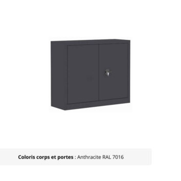 Armoire Portes Battantes Premium - H100 L100 anthracite