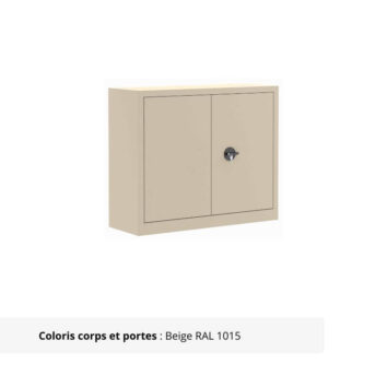 Armoire Portes Battantes Premium - H100 L100 beige