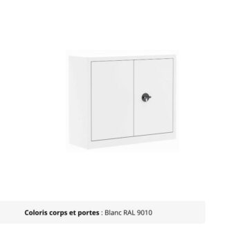 Armoire Portes Battantes Premium - H100 L100 blanc