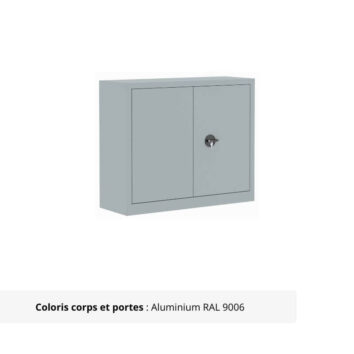 Armoire Portes Battantes Premium - H100 L100 finition aluminium