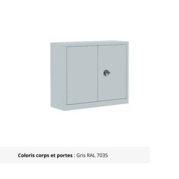 Armoire Portes Battantes Premium - H100 L100 finition gris clair