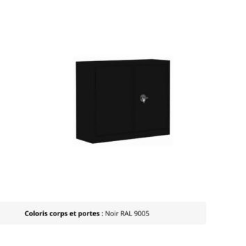 Armoire Portes Battantes Premium - H100 L100 noir