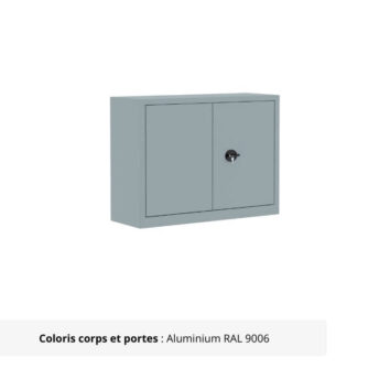 Armoire Portes Battantes Premium - H100 L120 finition aluminium