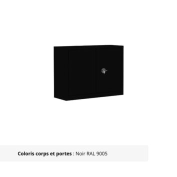 Armoire Portes Battantes Premium - H100 L120 noir