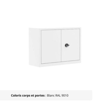 Armoire Portes Battantes Premium - H100 P60 blanc