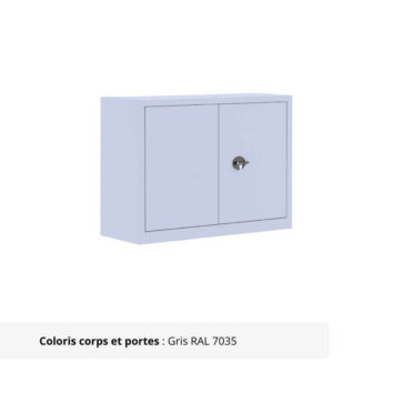 Armoire Portes Battantes Premium - H100 P60 finition gris clair