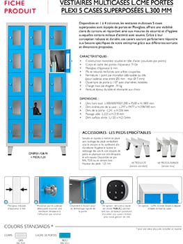 Vestiaire multicases avec 5 casiers superposés en plexiglass, idéal pour le rangement sécurisé en milieu professionnel.