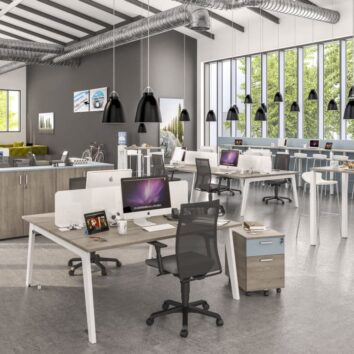 Bureau moderne Gamme Stelenco avec plusieurs postes de travail, chaises ergonomiques et lumière naturelle abondante.