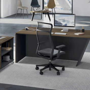 Fauteuil Manager Ergonomique ErgoMaster RX2 Gris Foncé - ambiance