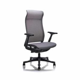 Fauteuil Manager Ergonomique "ErgoMaster RX2" Gris Foncé