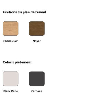 Finitions de Bureau manager pyrakhafre