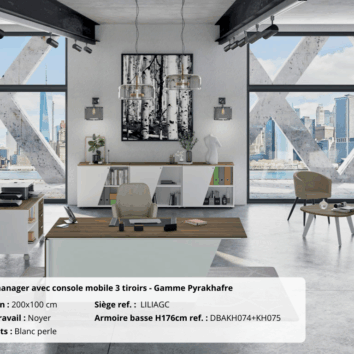 Photo-bureau-MANAGER- Pyrakhafre-noyer-blanc-perle