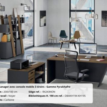 Photo-bureau-MANAGER- Pyrakhafre-noyer-carbone