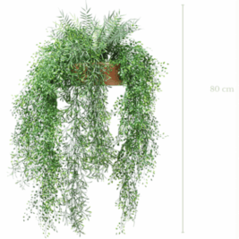 La Grande Tombante - Pot Terre Cuite Inclus - Gamme EasyPlant