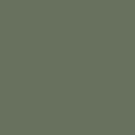 Nuancier Vert sauge poudré RAL 7033