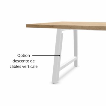 Option descente de câbles verticale - Gamme Harmonie