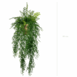 La Tombante Jasmin - Pot Terre Cuite Inclus - Gamme EasyPlant