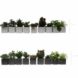 Lot de 9 plantes végétalisés - avec Pots carrés Blancs ou Gris Inclus H.14 cm - Gamme EasyPlant