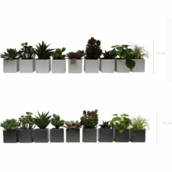 Lot de 9 plantes végétalisés - avec Pots carrés Blancs ou Gris Inclus H.14 cm - Gamme EasyPlant - Blanc 9010