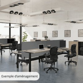 Bureau Double Assis Debout électrique - Gamme évolution - exemple 1