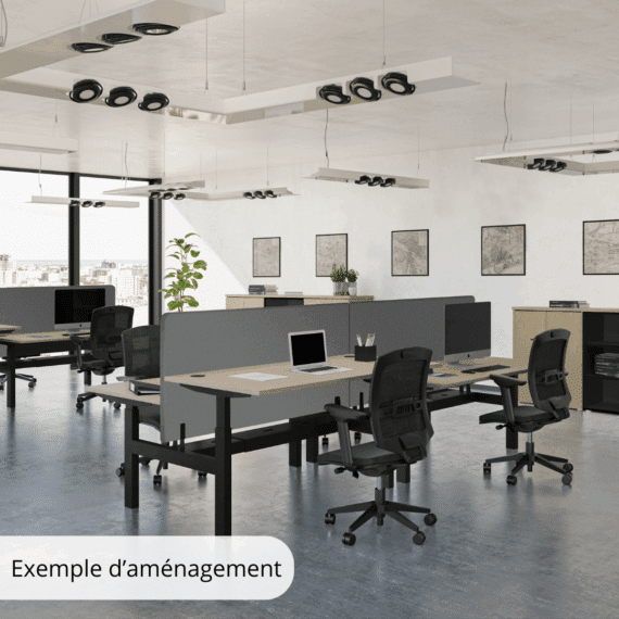 Bureau Double Assis Debout électrique - Gamme évolution - exemple 1