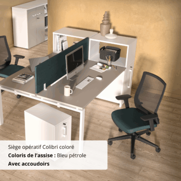 Siège opératif Colibri coloré - Ambiance (1)
