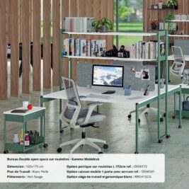ambiance Bureau double open space gamme Mobidesk chene clair et carbone