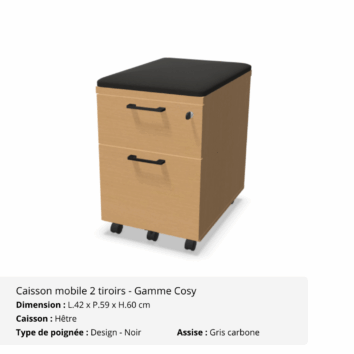 Caisson mobile - Gamme Cosy - Hêtre - assise gris carbone