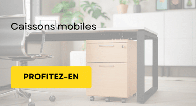 Catégorie caissons Mobiles - Soldes d'été 2025