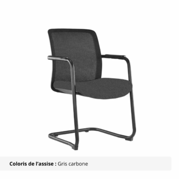 Chaise visiteur Colibri coloré - Gris carbone