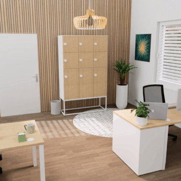 Casier 9 cases - 6 portes classiques + 3 portes vestiaires avec patères - multi serrures - Gamme Primo - Ambiance simple