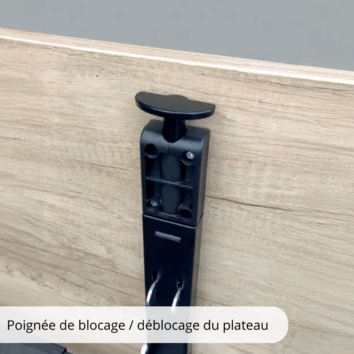 Poignée de blocage déblocage du plateau - Gamme Alba