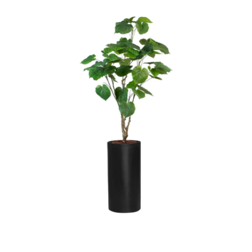 Le Ficus Umbellata artificiel - Cylindre Haut Noir