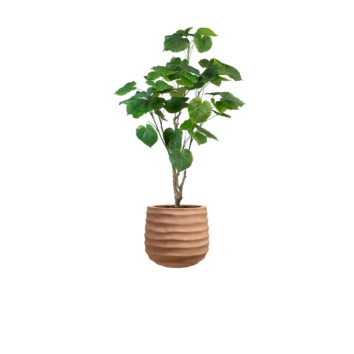 Le Ficus Umbellata artificiel - Pot Terracotta