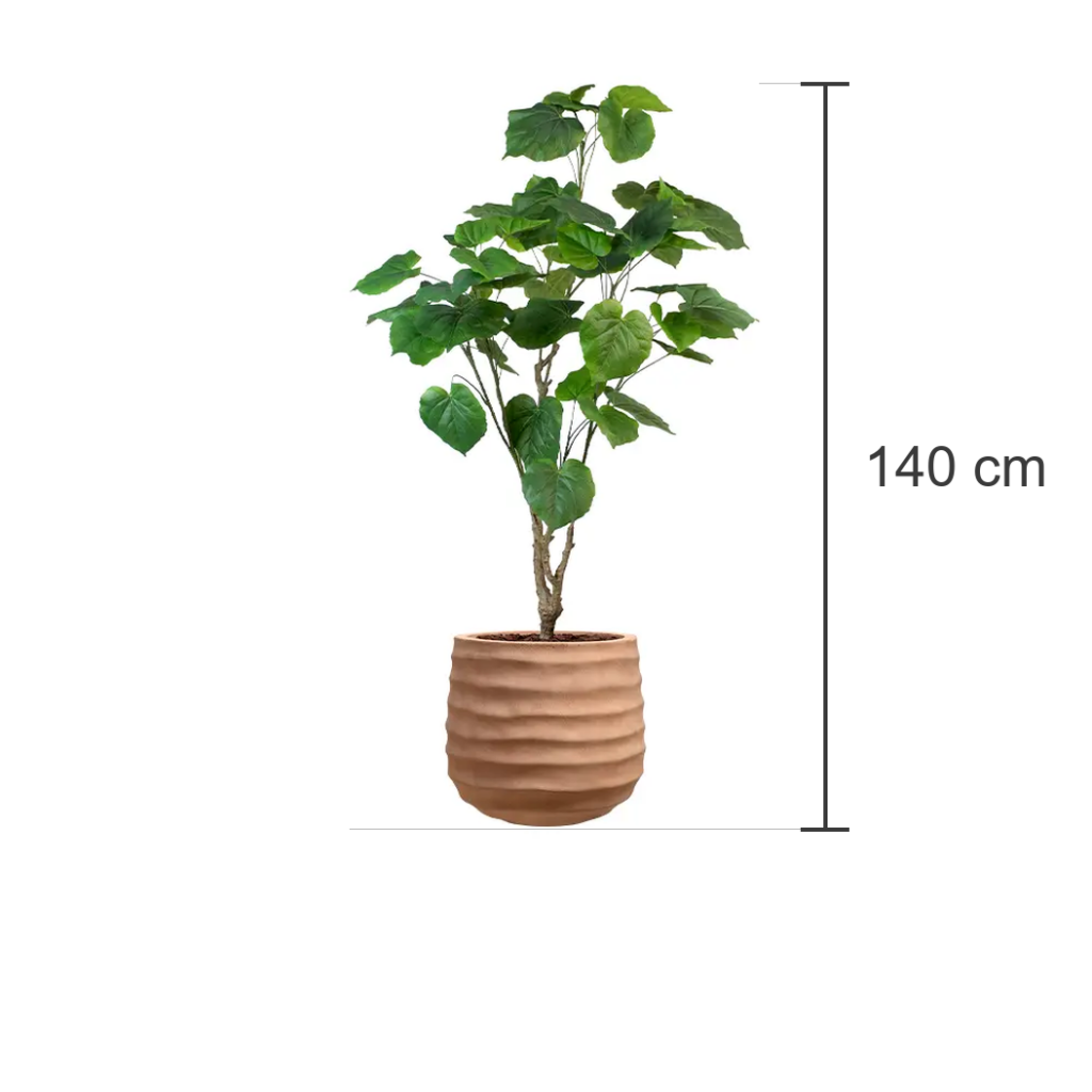 ficus - cote hauteur (A-PT29-FC13) Ficus Umbellata artificiel Tanaman - hauteur 140 cm (pot Terracotta)