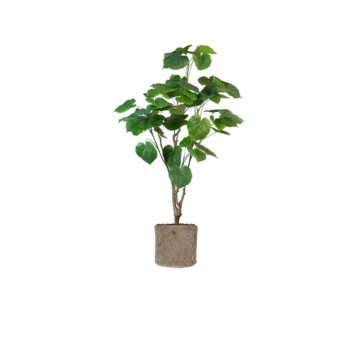 Le Ficus Umbellata artificiel - Pot Tissu Beige